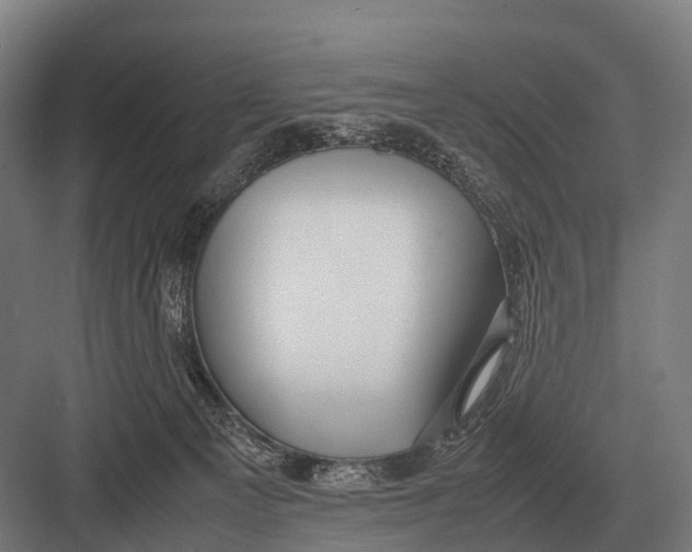 X0000082740129200702161943