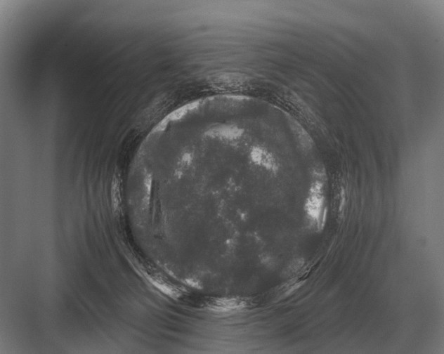 X0000082740130200702161943