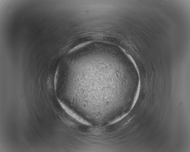 X0000082740131200702161943