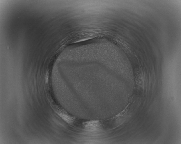 X0000082740132200702161943