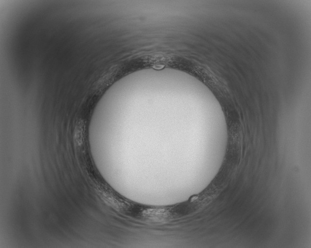 X0000082740133200702161943