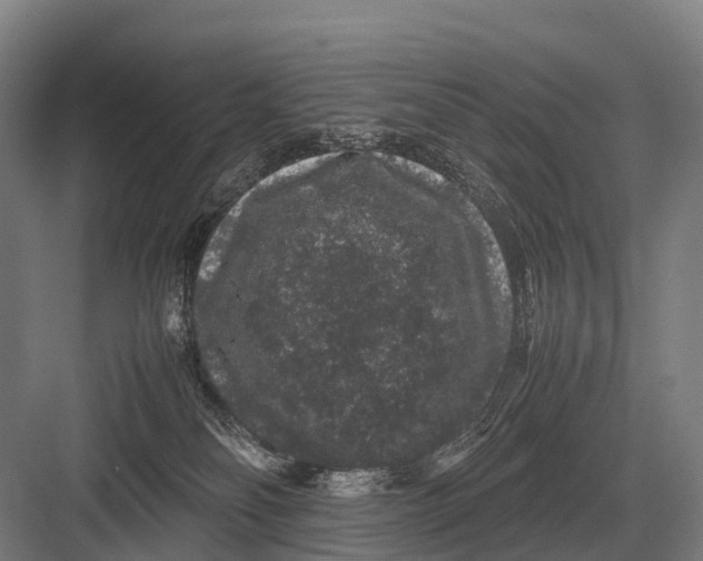 X0000082740134200702161943