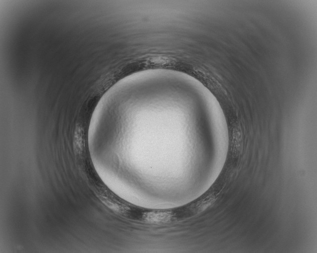 X0000082740135200702161943