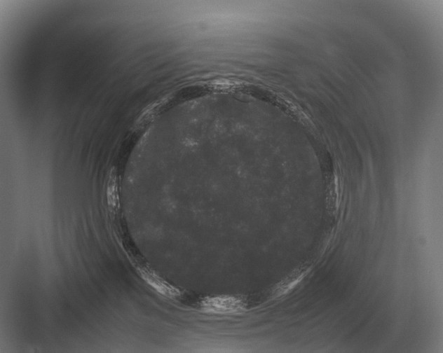 X0000082740137200702161943