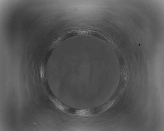 X0000082740139200702161943