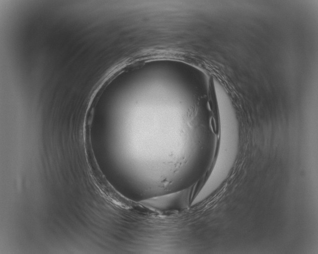 X0000082740148200702161942