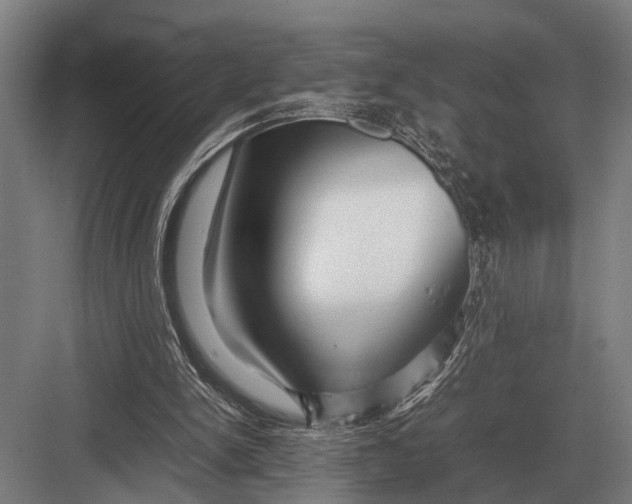 X0000082740150200702161942