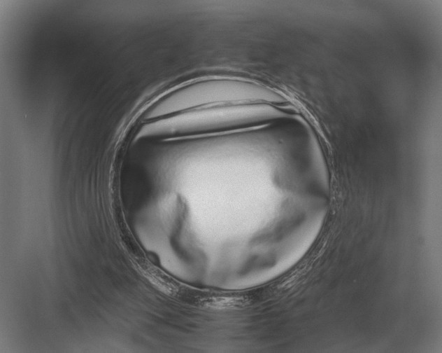 X0000082740151200702161942