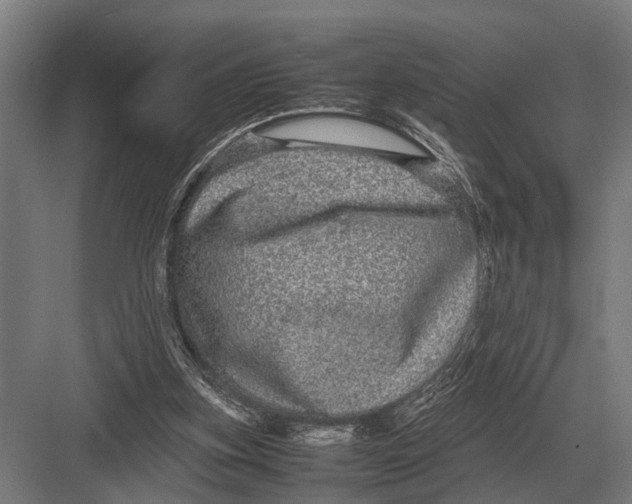 X0000082740155200702161942