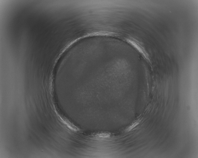 X0000082740156200702161942