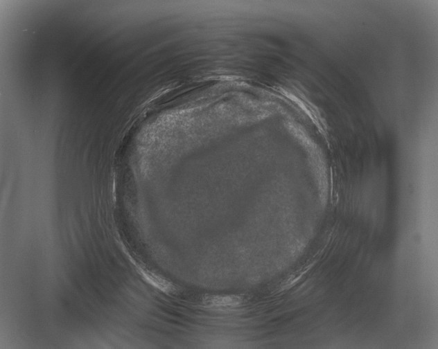 X0000082740157200702161942