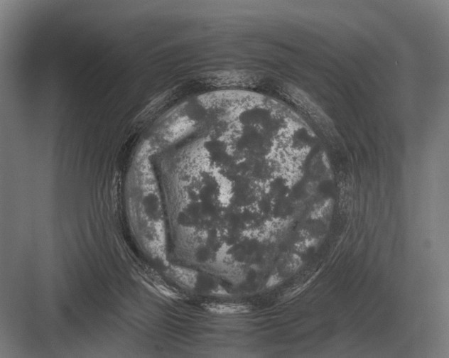 X0000082740165200702161942