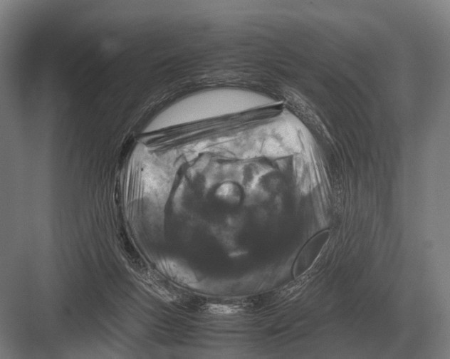 X0000082740167200702161942