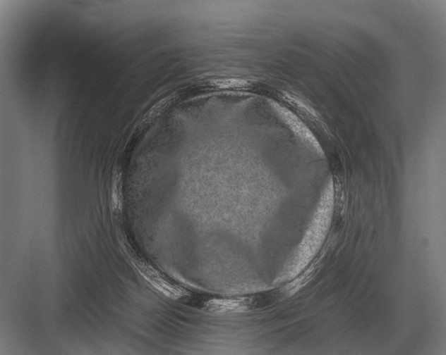 X0000082740170200702161942