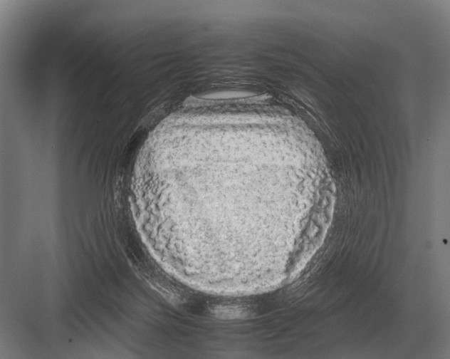 X0000082740171200702161942