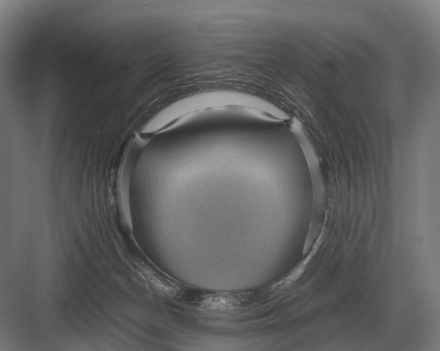 X0000082740174200702161942