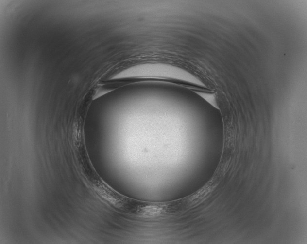 X0000082740176200702161942