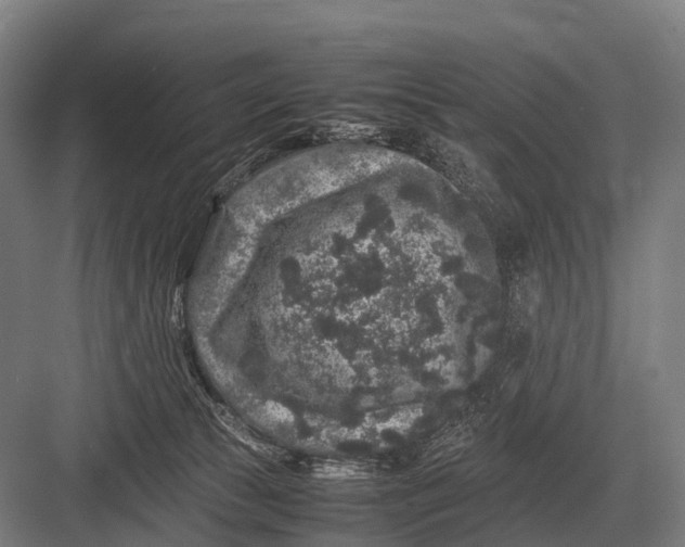 X0000082740177200702161942