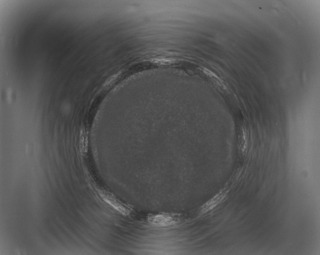 X0000082740180200702161942