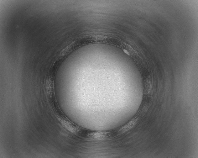 X0000082740184200702161942