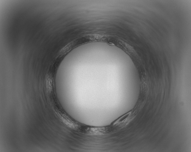 X0000082740188200702161942