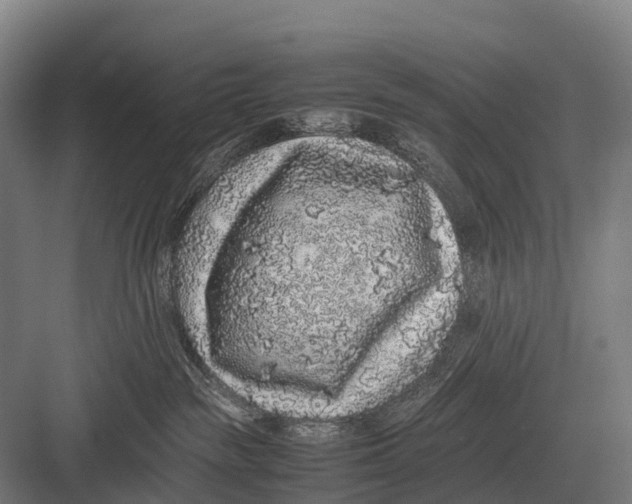 X0000082740189200702161942