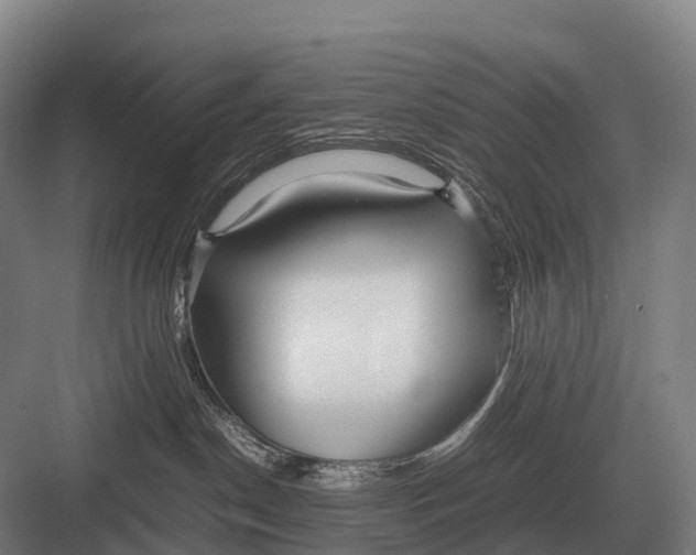 X0000082740190200702161942