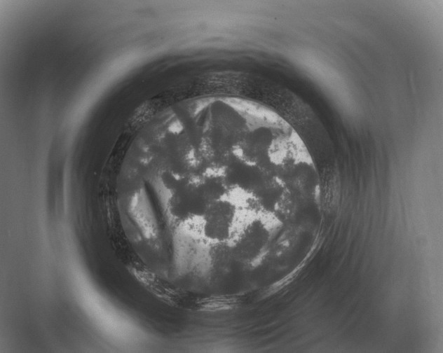 X0000082740191200702161942