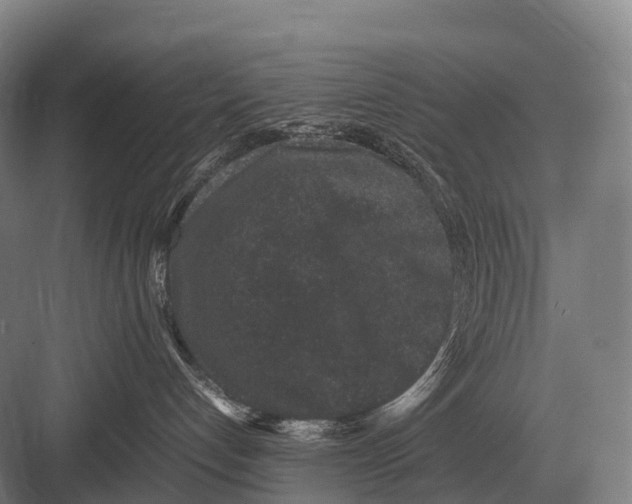 X0000082740192200702161942