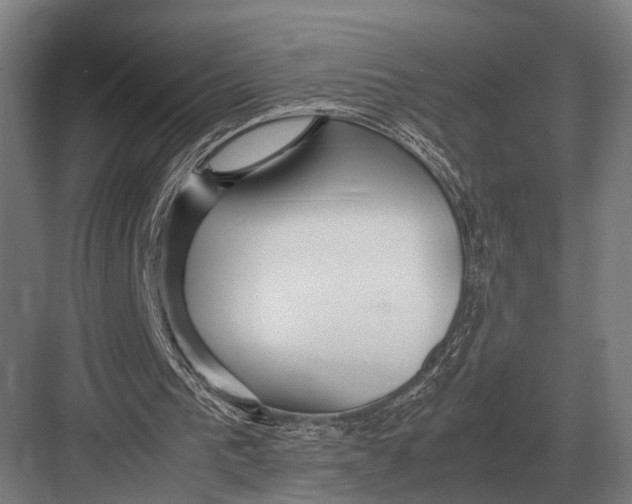 X0000082740193200702161942