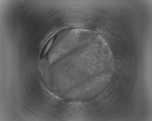 X0000082740194200702161942