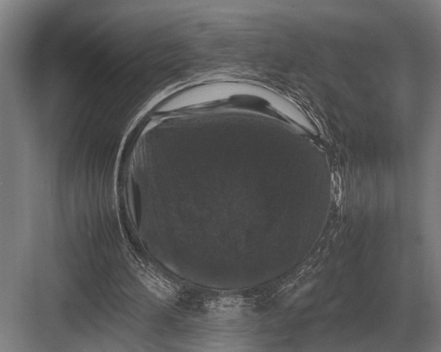 X0000082740196200702161942