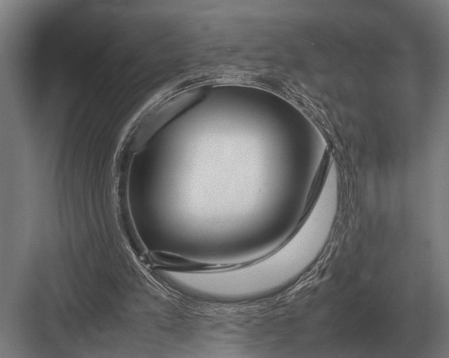 X0000082740197200702161942