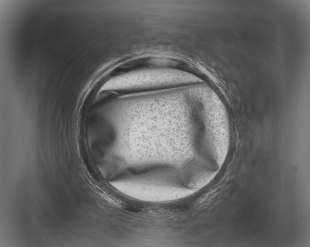 X0000082740199200702161942