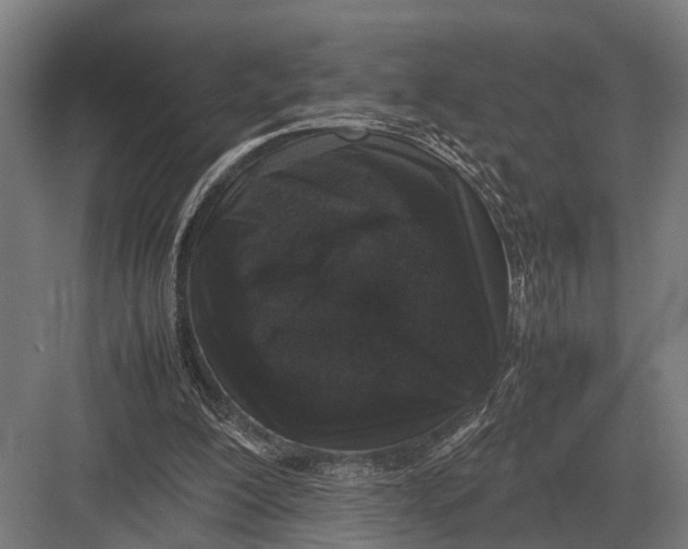 X0000082740200200702161942