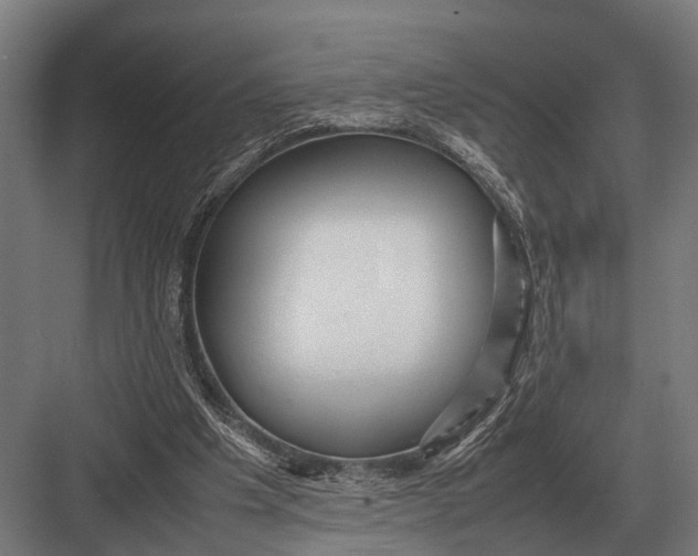 X0000082740201200702161942