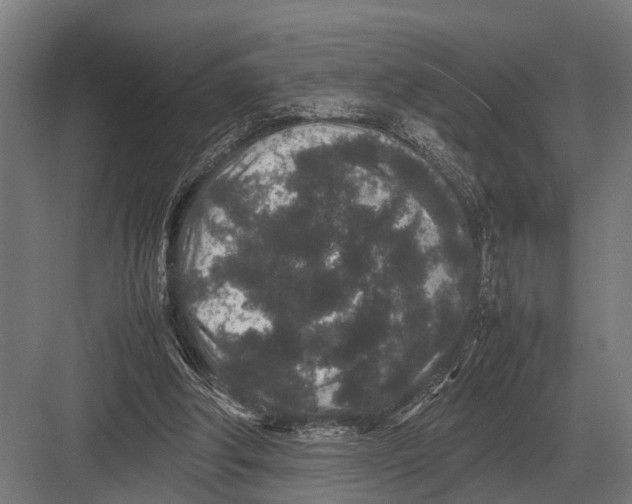 X0000082740202200702161942