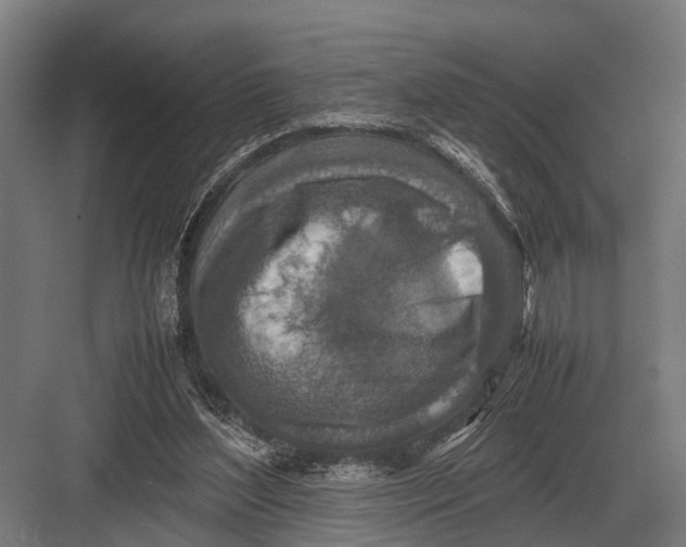 X0000082740204200702161941