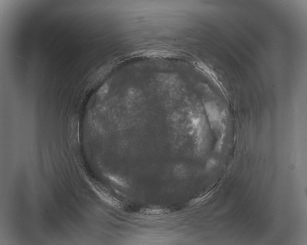 X0000082740205200702161941