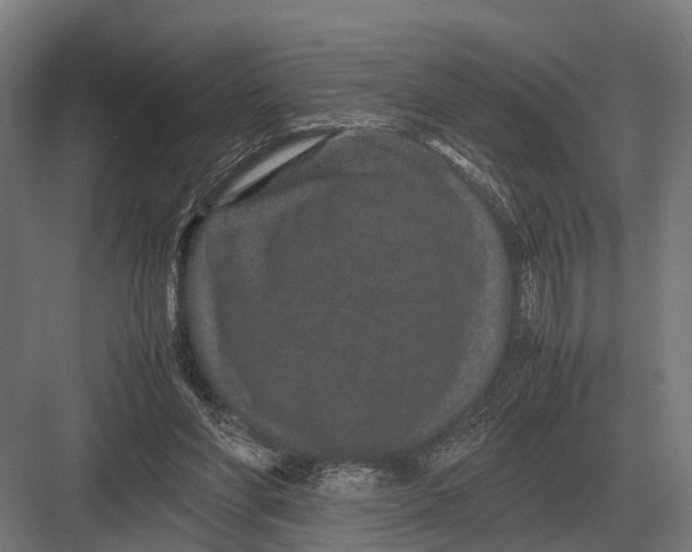 X0000082740206200702161941