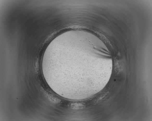 X0000082740208200702161941