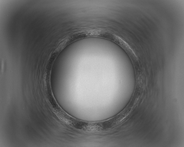 X0000082740209200702161941