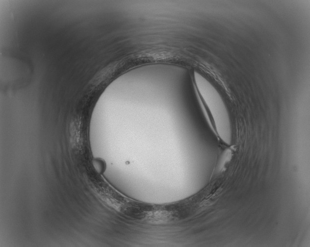 X0000082740212200702161941