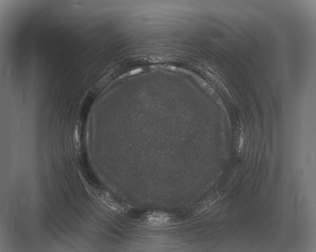 X0000082740214200702161941