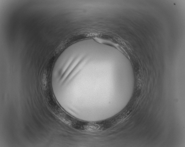 X0000082740215200702161941