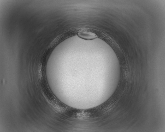 X0000082740216200702161941