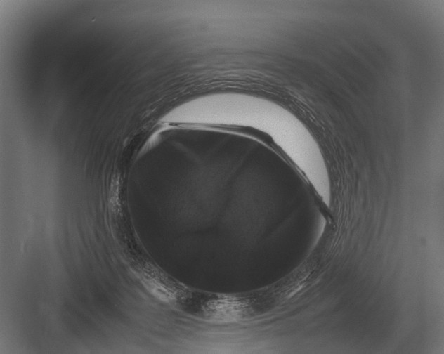 X0000082740219200702161941