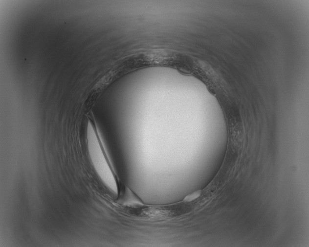 X0000082740221200702161941