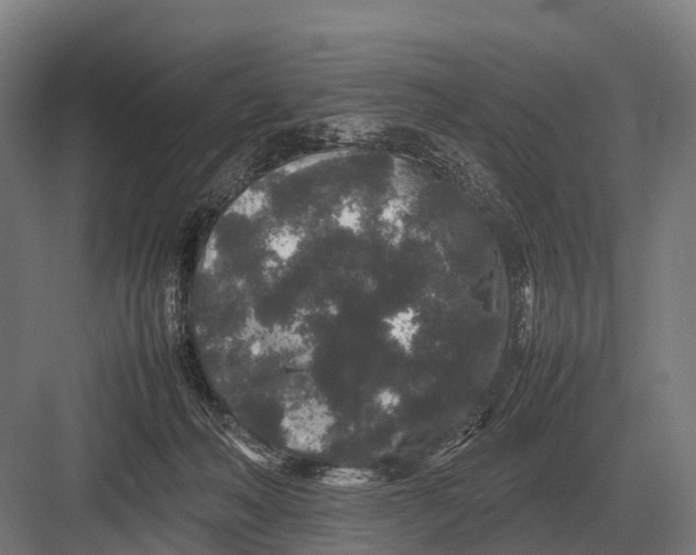 X0000082740222200702161941