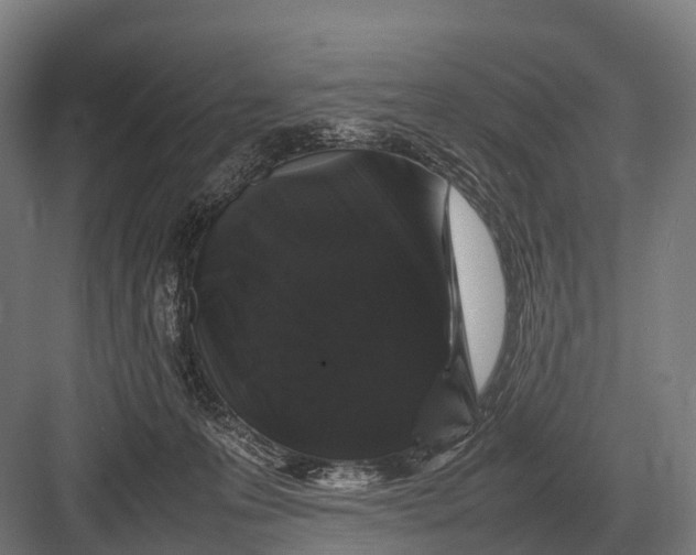 X0000082740223200702161941